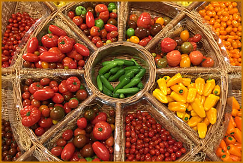 Facharztpraxis Bagheri - Ernährungsberatung Facharztpraxis Bagheri - Ernährungsberatung